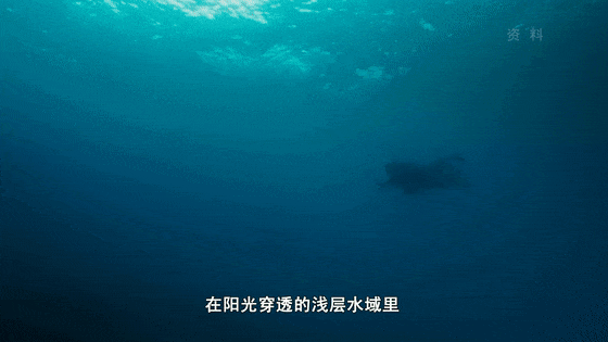 640.gif